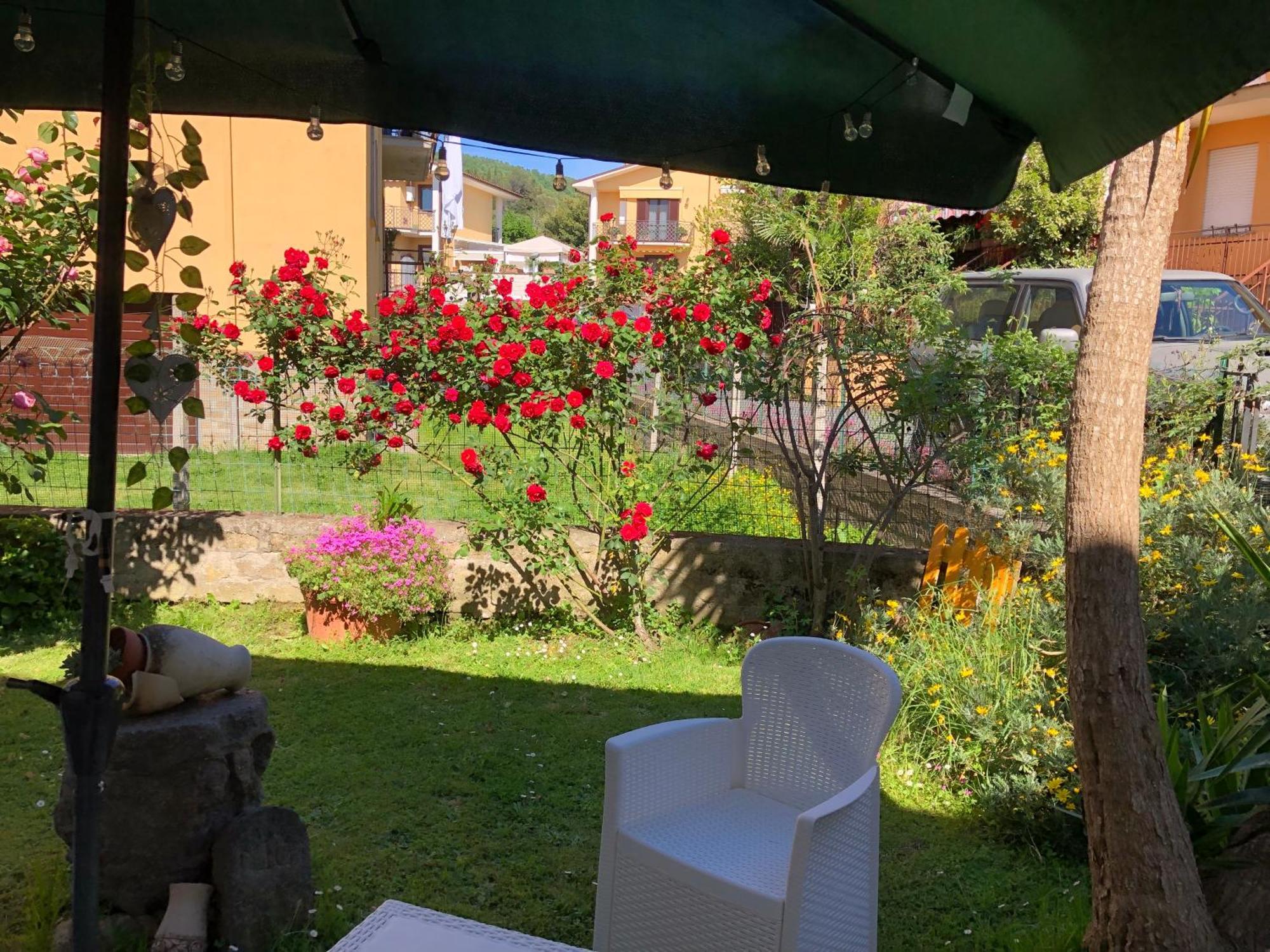 B&B Anna Bolsena Exterior photo